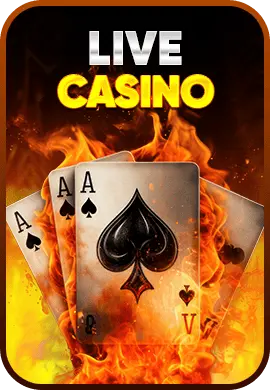 casino kkwin